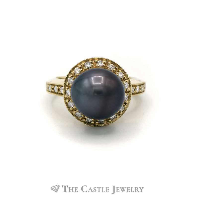 12mm Black Pearl Ring with Diamond Halo and Shank in 14KT Yellow Gold