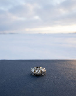 Scottish Rite 32nd Degree Masonic Ring with 1ct Diamond and White Gold Double Eagles in 14k Two Tone