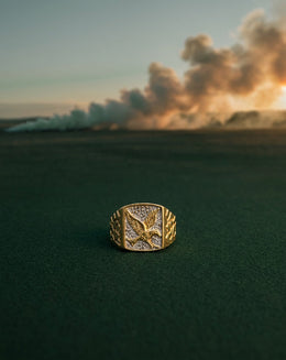 Eagle Signet Ring with Nugget Design Sides and .04cttw on a Beaded White Field in 10k Gold