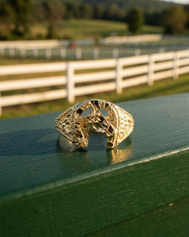 Men's Horseshoe Ring with Horse Head Center in 10k Yellow Gold