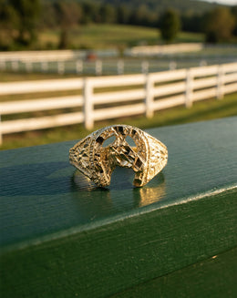 Men's Horseshoe Ring with Horse Head Center in 10k Yellow Gold