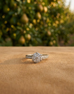 3/4cttw Round Diamond Cluster Ring with Pavé Sides in 14k White Gold