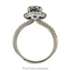 1/2cttw Round Diamond Cluster Engagement Ring with Diamond Accented Sides & Halo in 10k White Gold - Thumbnail 2