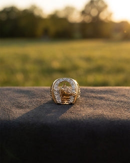 Diamond Accented Horseshoe and Horse Head Ring in 10k Yellow Gold