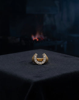 Men's Horseshoe Ring with .23cttw Diamonds and Brushed 14k Yellow Gold Sides