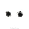 1/2cttw Black Diamond Stud Earrings in 14k White Gold - Thumbnail 1