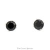 2cttw Black Diamond Stud Earrings in 10k White Gold - Thumbnail 1
