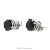 2cttw Black Diamond Stud Earrings in 10k White Gold - Thumbnail 2