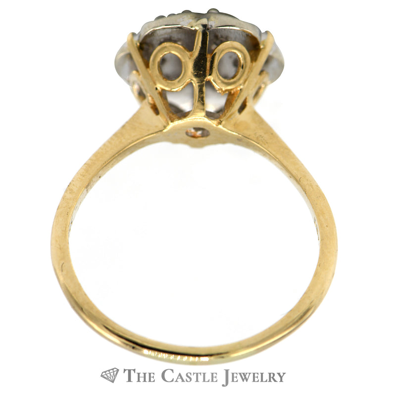 3/4cttw 7 Diamond Cluster Ring with Scalloped Setting in 14k Yellow Gold
