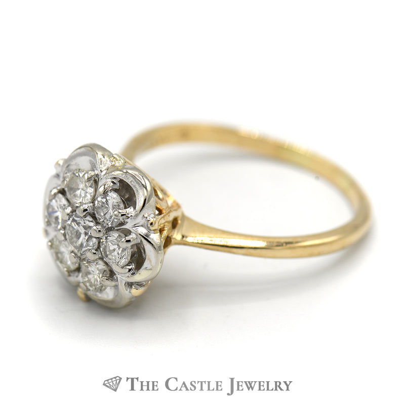 3/4cttw 7 Diamond Cluster Ring with Scalloped Setting in 14k Yellow Gold