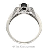Round Black Diamond Engagement Ring with White and Black Diamond Accents in 10k White Gold Split Shank Setting - Thumbnail 2